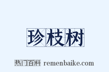 珍枝树是什么意思的图片
